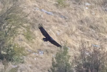 Vrachanski Balkan Nature park, Photo: Rossen Popov