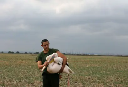 Спасителната акция.