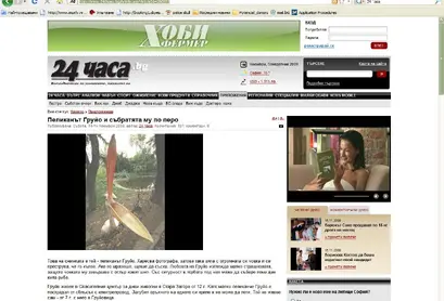 Медийни изяви през 2009 година