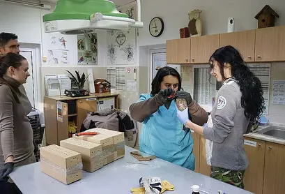 ...