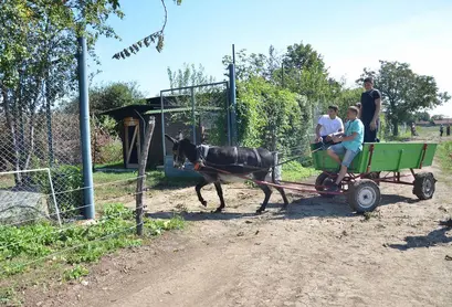 На помощ ни дойде и магаричката на ветеринарния техникум 