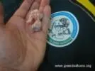 Първа снимка