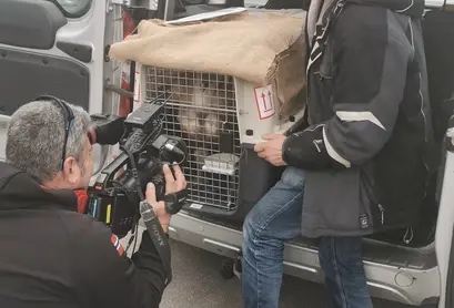 Станислав е дарение от зоопарк Dierenrijk..