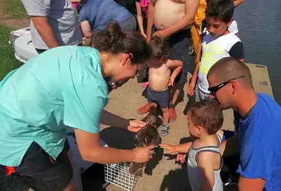 ...