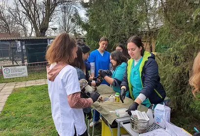 Практикантите се включиха и в профилактиката на птици от посетителската част на Центъра.