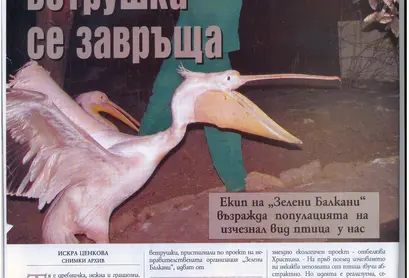 Медийни изяви през 2009 година