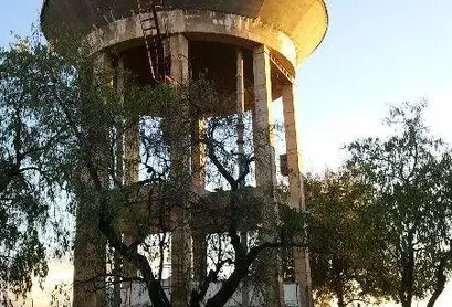 Една уникална клетка, с естествена колония над нея!