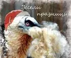 Първа снимка