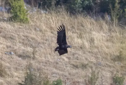 Vrachanski Balkan Nature park, Photo: Rossen Popov