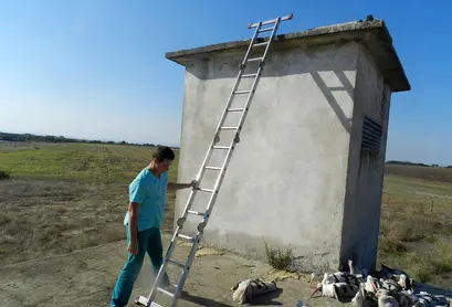 Освобождаването.