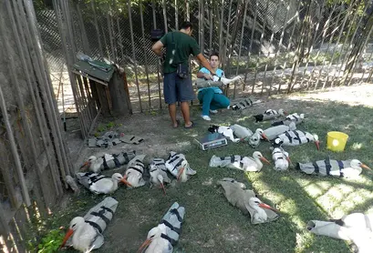 Подготовката.