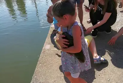 ...