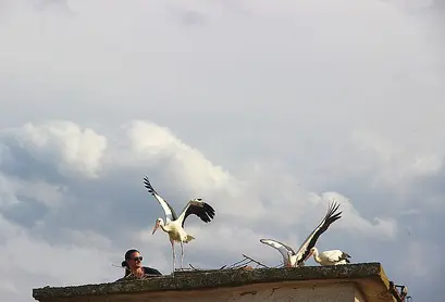 ...